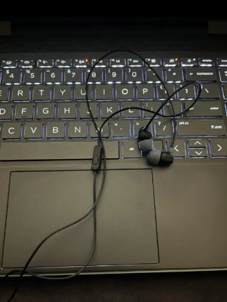 Sony Earphones Wired Earbud Headphones SP-MDREX14 (BB)