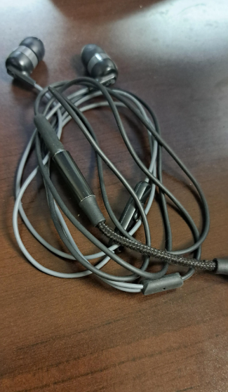 Skullcandy Ink'D+ Wired In-Ear Earphones Headphones with Built In Microphone (BB)