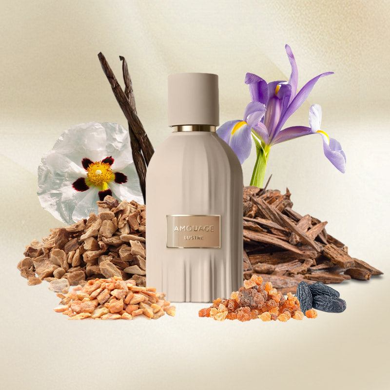 Amouage Lustre – Luxury Niche Fragrance for Men & Women Eau de Parfum Spray 100ml 3.3 fl oz