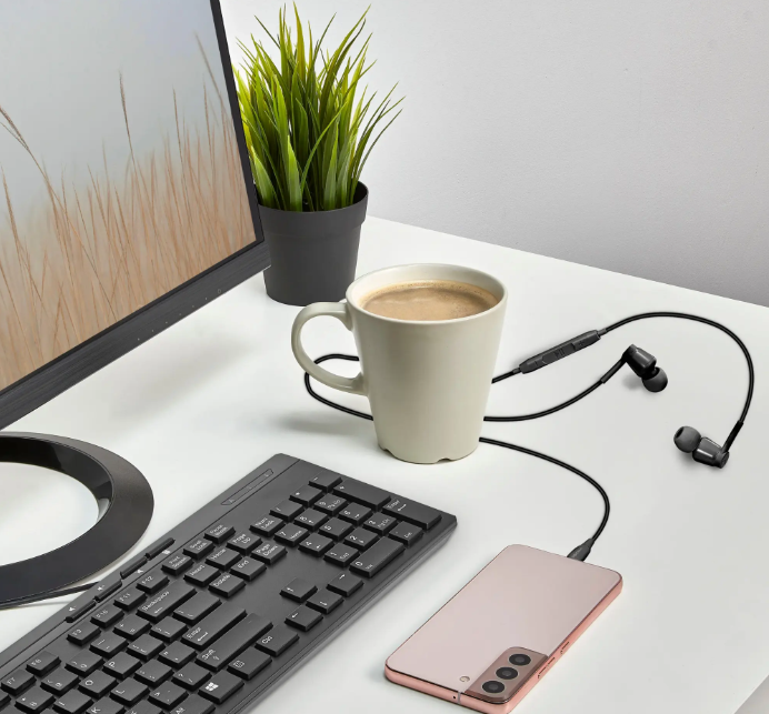 Insignia USB-C In Ear Wired Earbuds Earphones with In Line Microphone and Controls (BB)