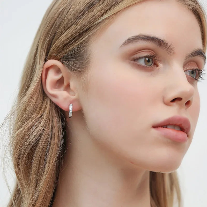 Sterling Silver Shiny Zircon Hoop Earrings for Women Girls Fashionable and Elegant Jewelry Earrings