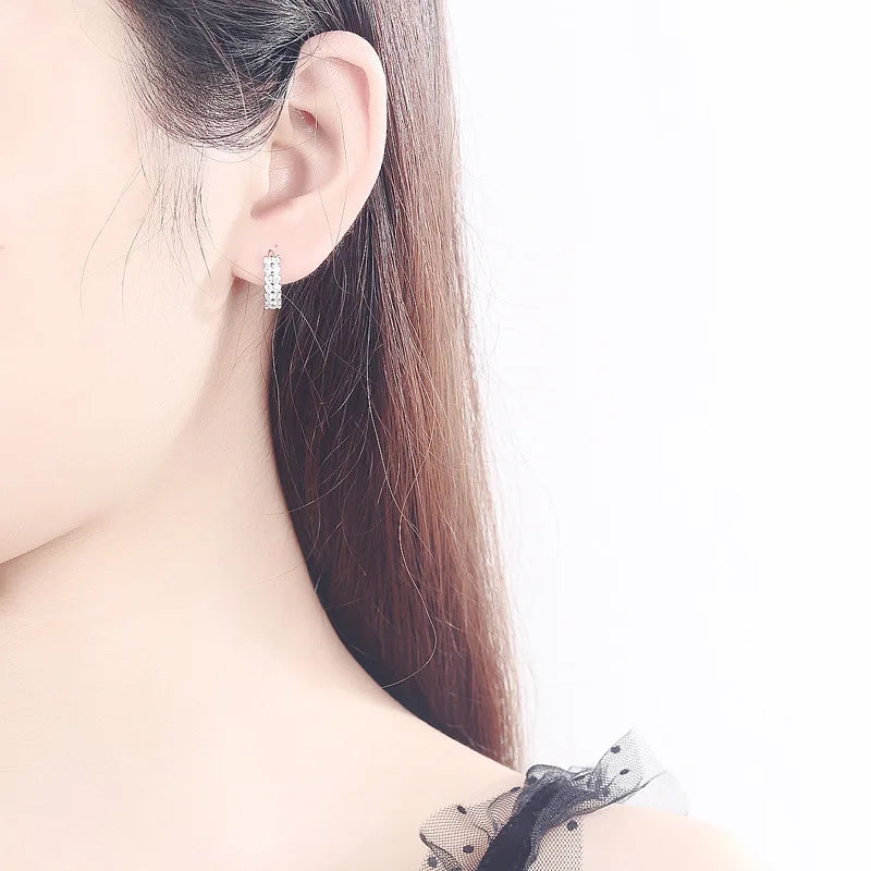 Women's Elegant Double Row Crystal 925 Sterling Silver Earrings Fashion High Quality Jewelry Accessories