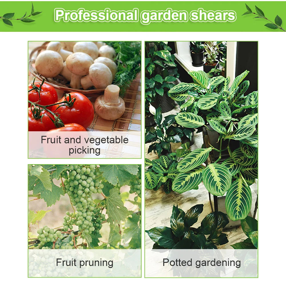 Pruning Gardening Scissors Shears Tools Bonsai Branch Cutting Fruit Picking Weeds Potted Flowers