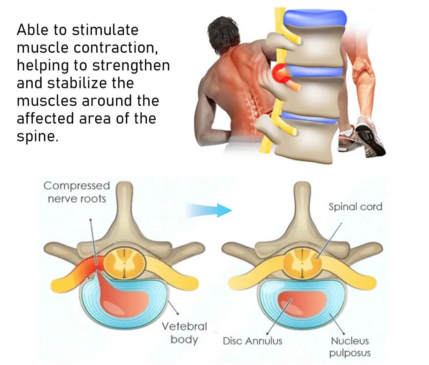 Wireless Electric Back and Waist EMS Stimulator Massager for Lumbar Spine Cervical Herniated Discs Pain Relief Care Massager Tendon Body Relaxation