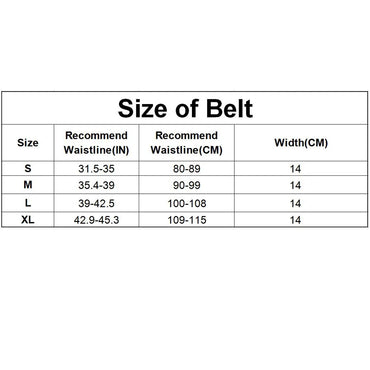 Durable Gym Support Waist Back Belt for Bodybuilding Powerlifting Weightlifting Squat Muscle Gains Dumbbell Workout Crossfit Gym Equipment