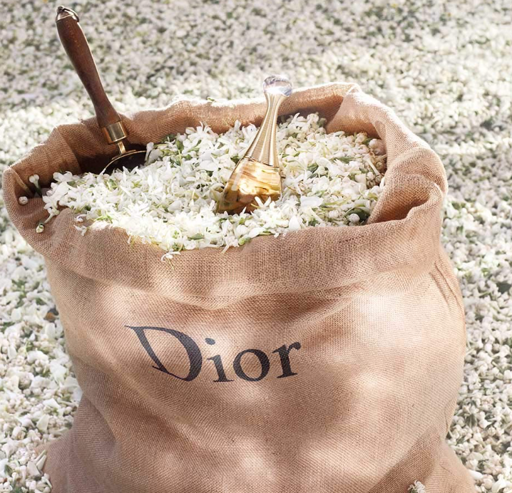 Christian Dior J'adore Eau de Parfum Spray for Women 3.4 oz / 100ml – Iconic Floral Fragrance