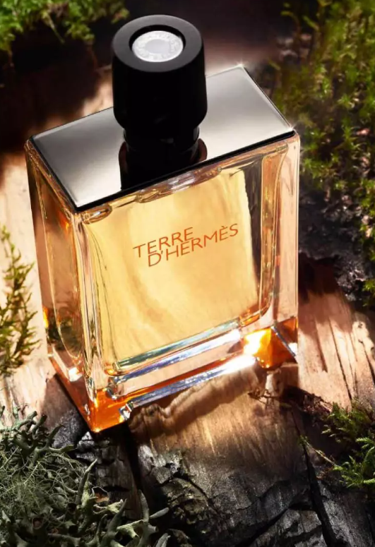 Terre D'hermes by Hermes Eau De Toilette for Men 3.3-3.4 oz / 100ml - Luxury Citrus Woody Cologne